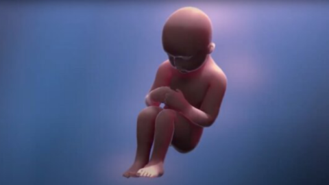 A 3 d image of a baby sitting on its back legs.