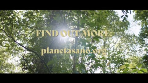Sunlight streaming through lush green leaves with the text "find out more planetasano.org" overlaid in the center.